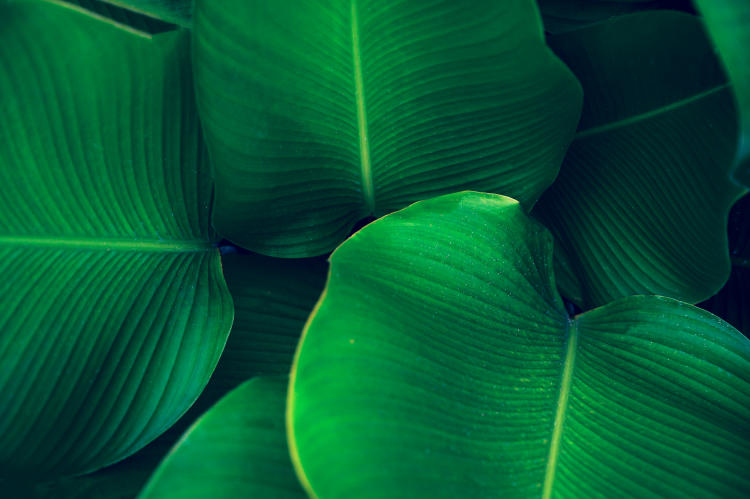 Imagen_cabecera_HOME_Yoigo LUZ y GAS Imagen_cabecera_HOME_Yoigo LUZ y GAS